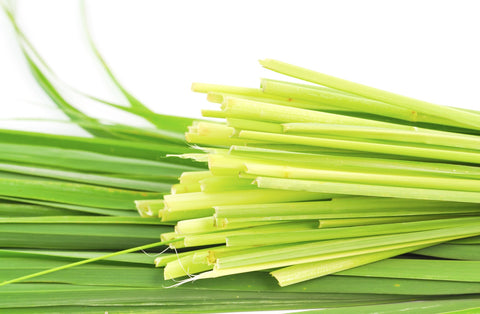 Citronella Oil (India)